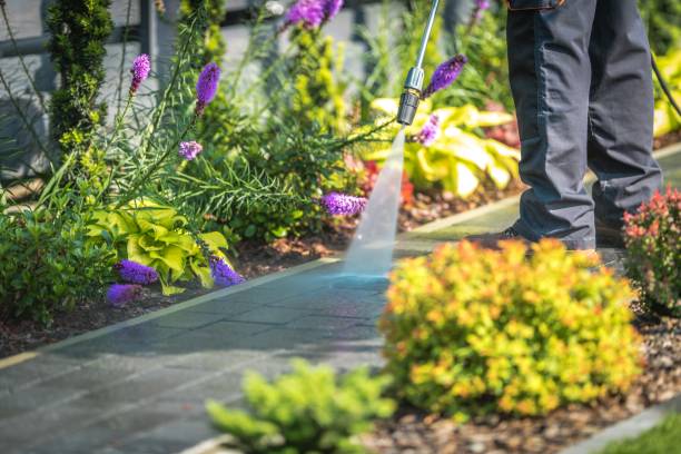 Best Winterizing Services  in Six Mile, SC